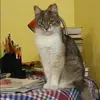 Отзыв от Алина Филатова